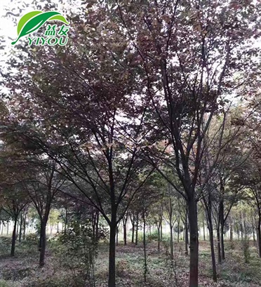 公司全景2